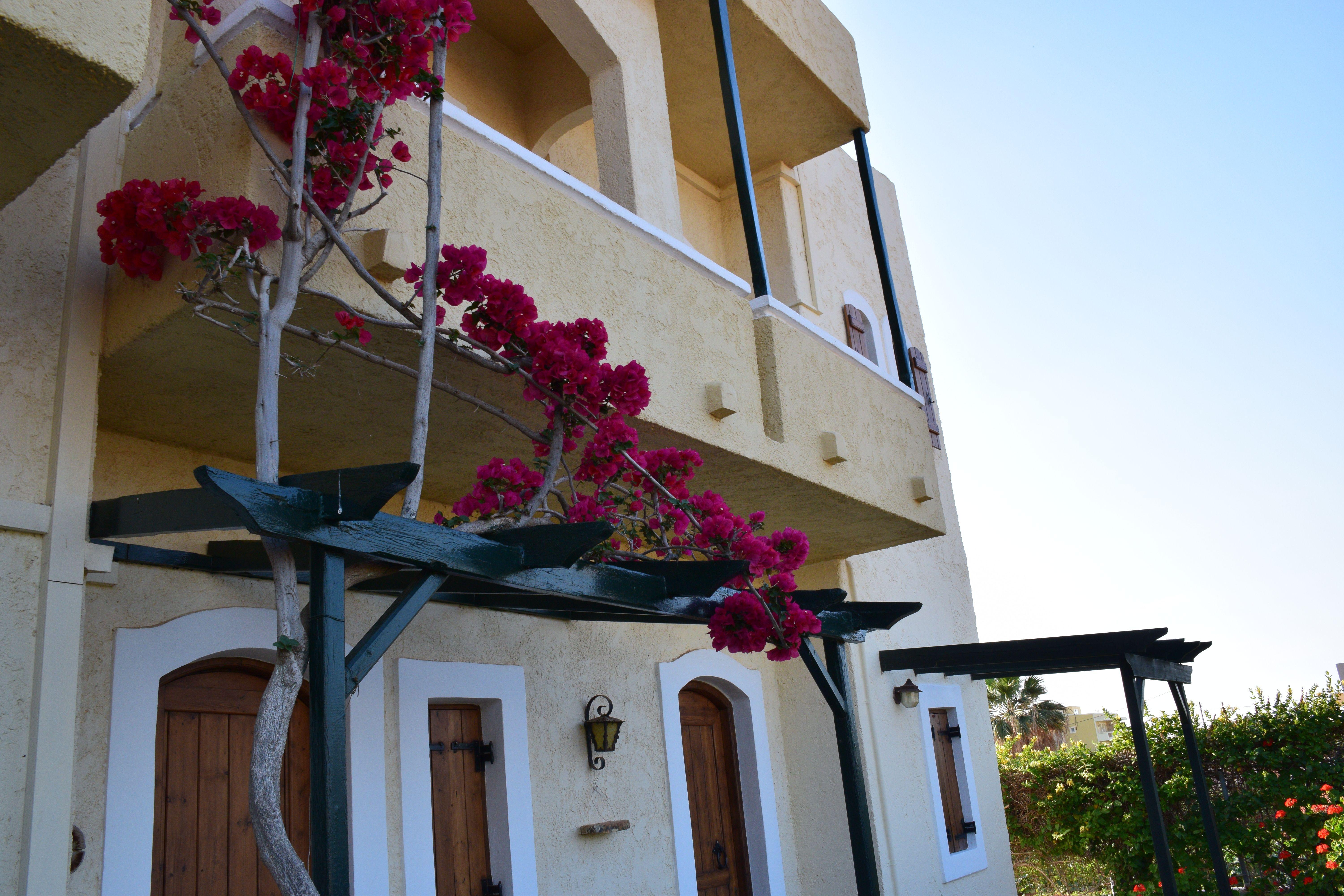 Malia Studios Hotel-Apts by Estia Exterior foto